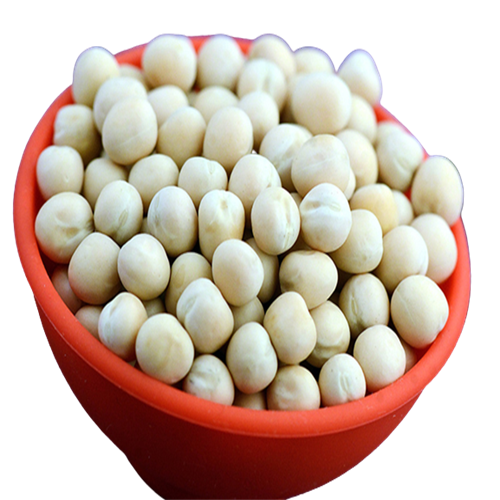 safed matar white peas whole 500 kg premium loose